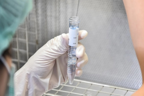 三代试管助孕服务移植冻胚的选择与区别