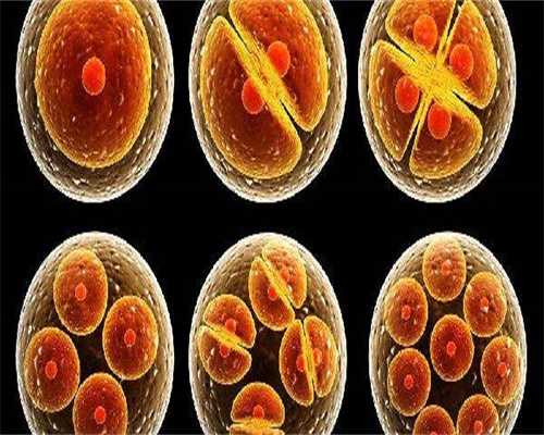 防城港卵巢囊肿患者能否进行试管助孕及借卵生子方案解析