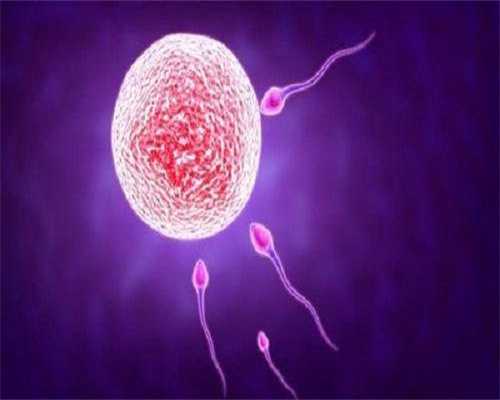 云南专业代生包男孩医院成功率与石家庄试管助孕优势解析