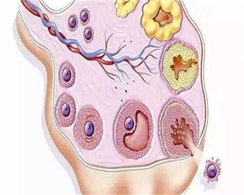 37岁二胎代生成功率解析与提升策略