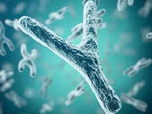 三代试管婴儿权威机构深度解析与排名真相揭秘