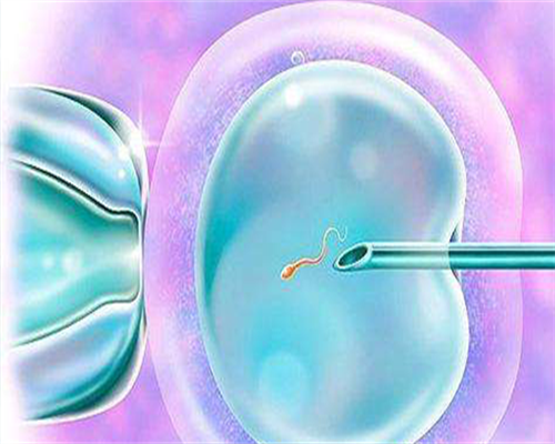 试管婴儿前检查最佳时机与准备事项