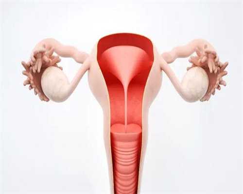 染色体异常代生费用与宝宝健康解析及成功率探讨