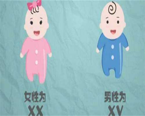 坤和代怀网分享：怀男宝的40种特征解析与代生助孕指南