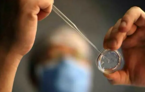 澳门双胞胎试管代生检查指南