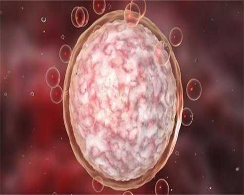 2026柬埔寨代生机构优质医院选择指南