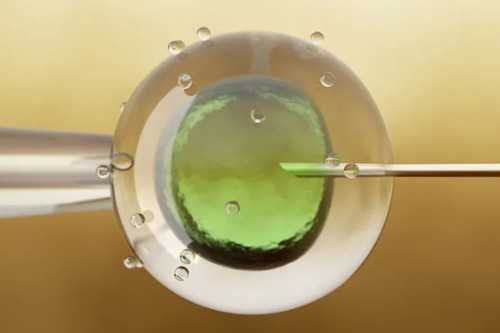 泰国试管婴儿费用解析与代生代怀服务指南