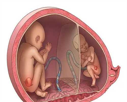 试管受孕成功率高与费用解析：助孕技术的关键因素