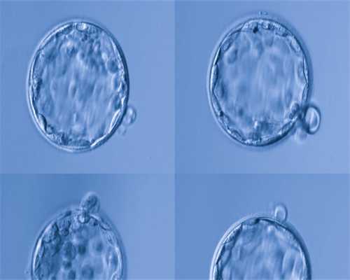 2026贵州三代试管助孕医院正规性解析及费用指南