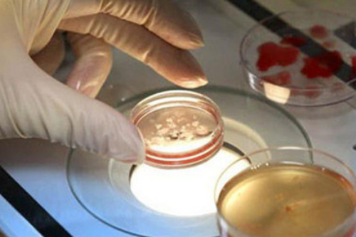 合肥包成功包男孩代生医院费用解析与选择指南