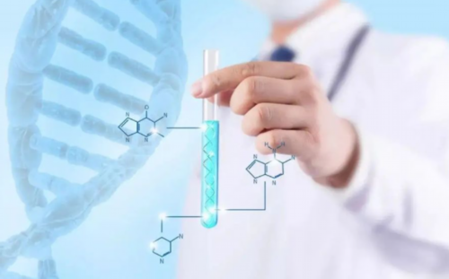 国内代生代怀移植冻胚的禁忌与成功率提升指南