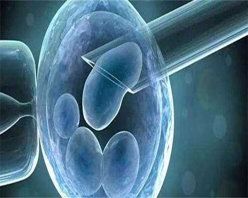 梅毒男性患者能否通过试管婴儿实现生育梦想