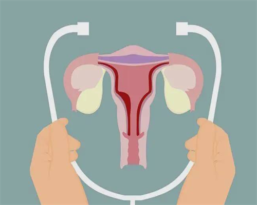 一代试管取精后精子是否需要优化及费用解析，助孕技术选择指南