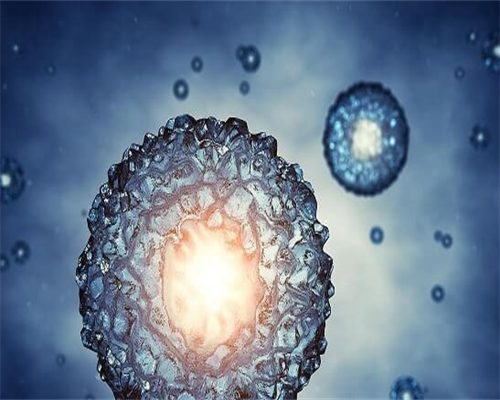 试管供卵移植建档需带丈夫吗？二代试管建档流程详解