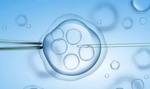 试管代孕打针次数解析与输卵管积水处理指南