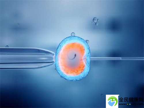 囊胚与冻胚移植费用对比：代生娃价格详解