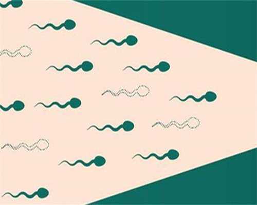 试管助孕包男孩费用解析与女性不孕治疗指南