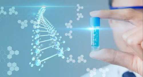 卵巢功能衰退调理指南与助孕策略