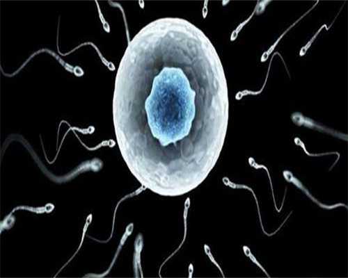 试管移植双胚胎的费用是否较高？