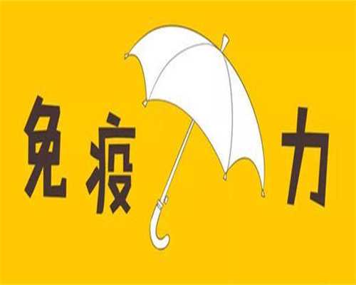2026年失独家庭再生育政策解析与供卵代生宝宝流程指南