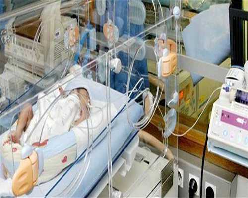 三个囊胚三代试管助孕成功率解析，选择多囊胚提升成功机会