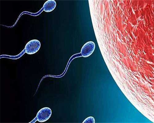 安徽江苏代怀生子高成功率医院排名与试管技术解析