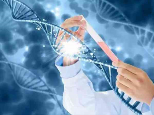 北京性价比高的试管婴儿助孕医院与三代技术机构推荐