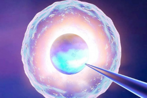 美国代生使用他人精子费用解析：3万预算是否足够？