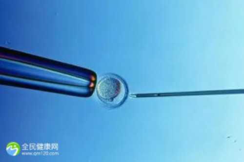 促排卵费用及卵子数量指南：代生公司价格解析