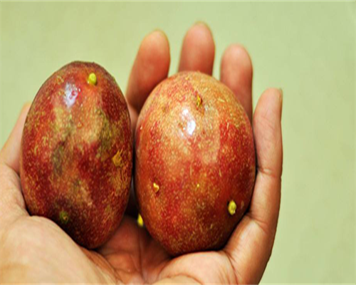 辽阳生殖中心优质医院推荐与专业服务解析