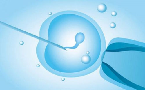 优质胚胎养囊失败原因解析：卵泡、精子还是其他因素？