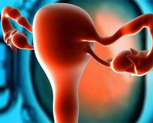 三代试管婴儿费用全面解析与预算指南