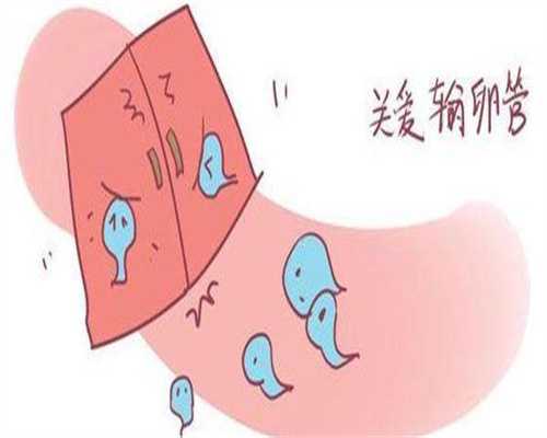 染色体检查详解：是否属于孕前检查及代怀生儿子相关解读