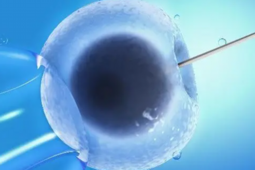 河南顶尖试管婴儿医院选择指南与预约须知