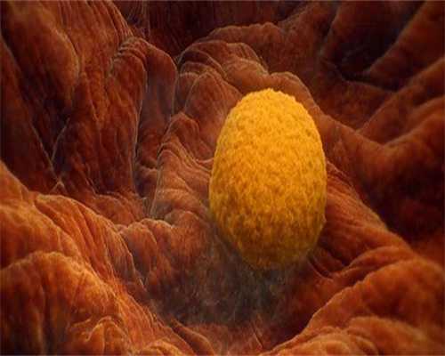 哈尔滨三代代生医院排名与联系方式最新指南，专业供卵代怀服务解析