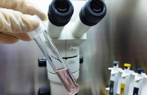 丙型肝炎患者是否适合进行试管婴儿治疗