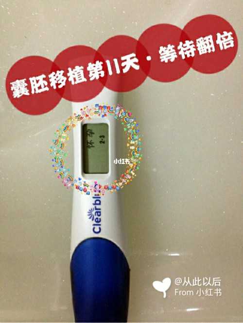 双子宫畸形女性选择试管婴儿助孕的全面指南与成功率分析