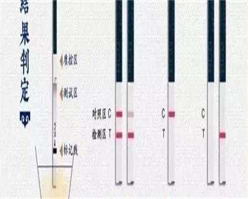 河南医院湖北代怀代生服务解析：成功率与费用详解